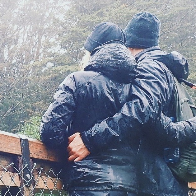 description of the actual picture for accessibility