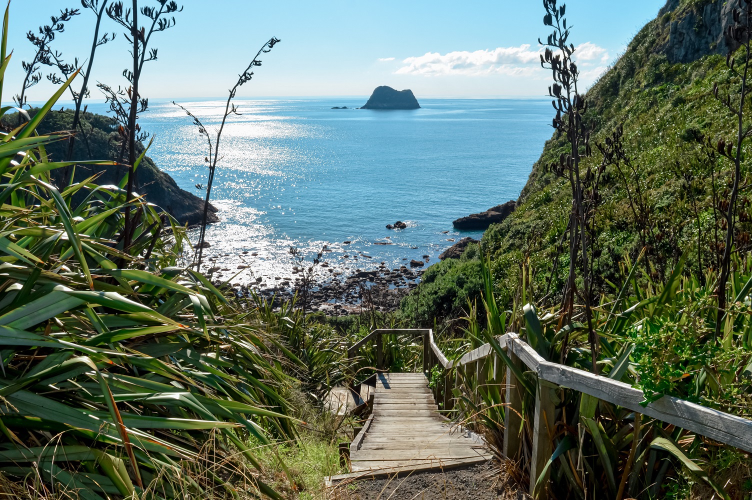 Wooden staircase surrounded by lush native greenery leading down to Back Beach in New Plymouth, North Island, New Zealand