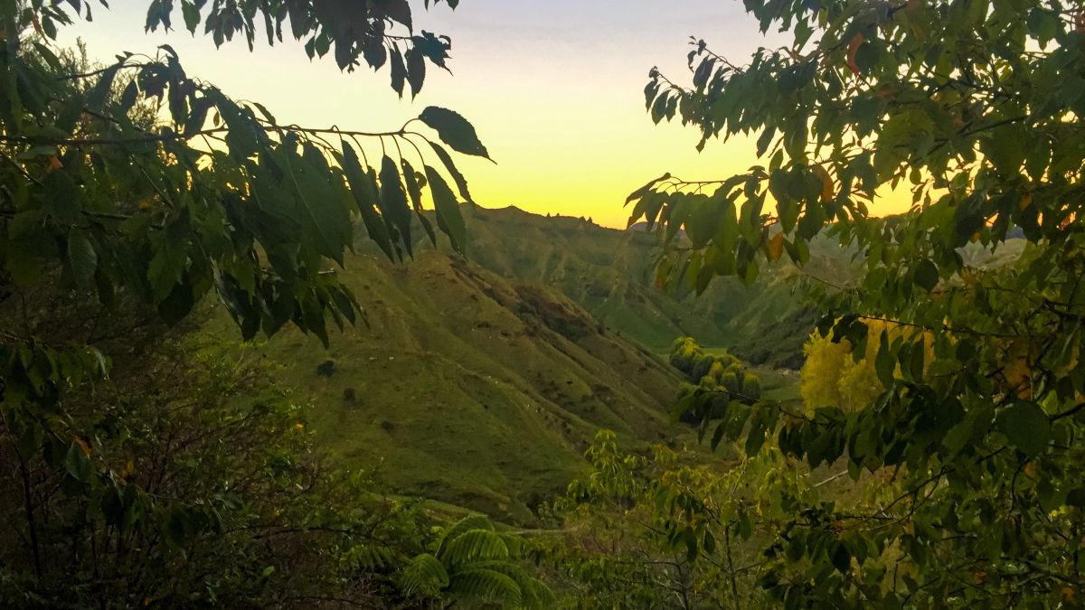 View of a peacufull New Zealand country side with sun setting behind green hills, North Island, New Zealand