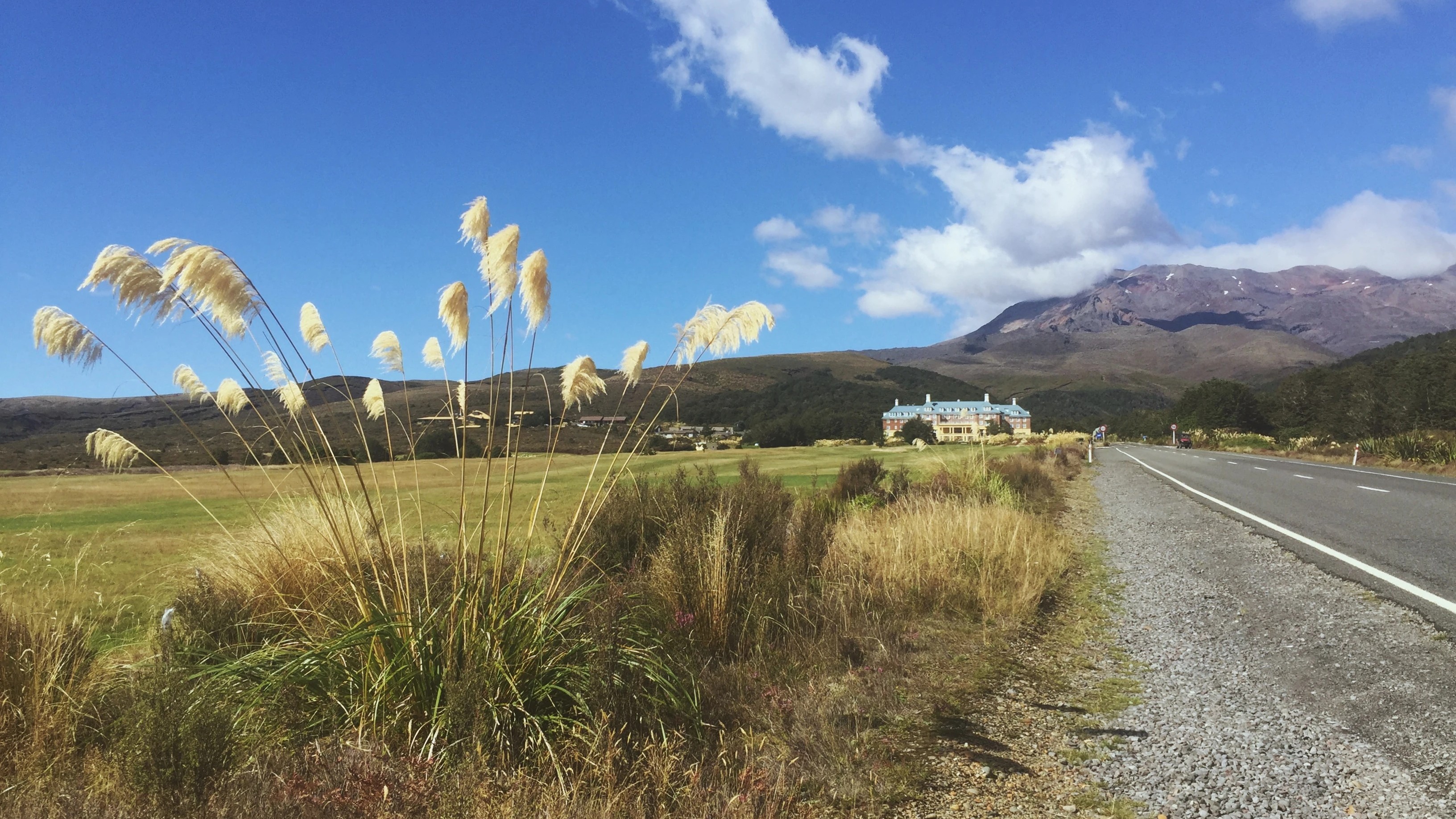 Sunny day on a quiet country road leading towards Chateau Tongariro at the foot of Mt Ruapehu in Tongariro National Park, New Zealand.
