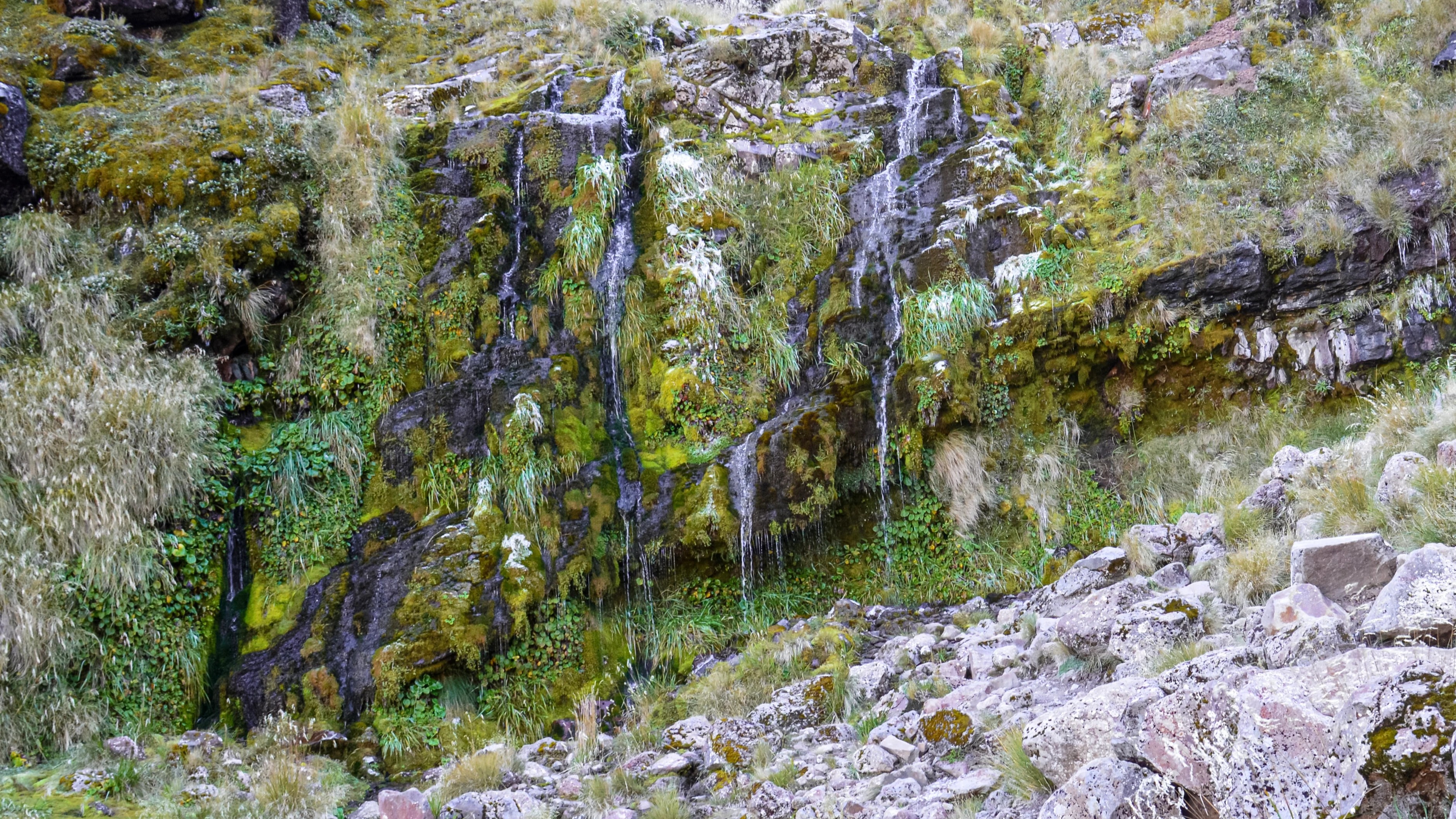 Soda Springs cascading over moss-covered rocks at the start of the famous day hike in Tongariro National Park, North Island, New Zealand.