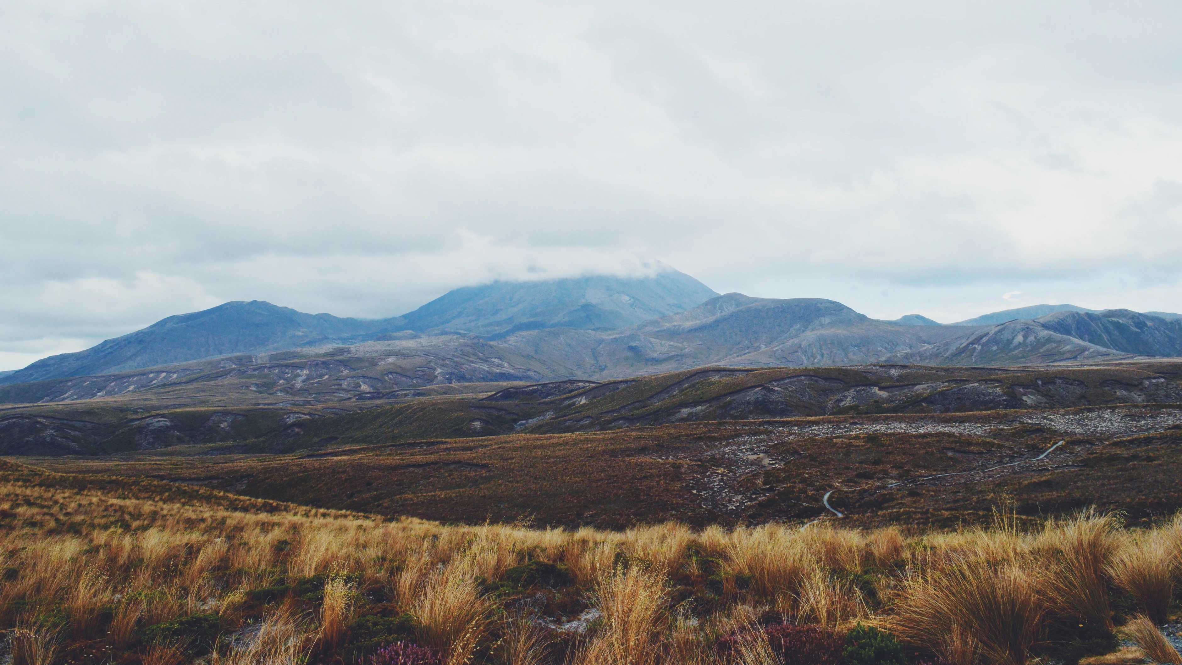 Early morning view of the Tongariro Alpine crossing with rolling tussock plains and fog-covered volcanic peaks from Whakapapa Village, New Zealand.