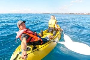 description of the actual picture for accessibility